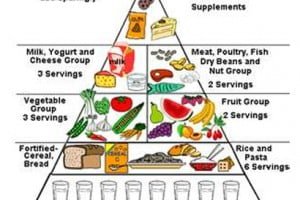 Diet for Ayurveda, Ayurvedic Foods, Kerala Ayurveda Tourism, Ayurveda Tour Packages