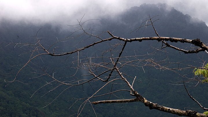 Vythiri Resort View, Vythiri Resort Attractions, Vythiri Wayanad Tourism