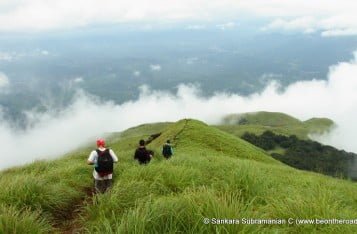 Wayanad Tourist Attractions, Tourist Places in Wayanad, Popular Places in Wayanad